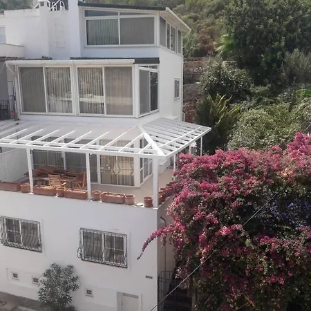 House Near Marina, Yachts, Boats. 4,5 Br Bodrum