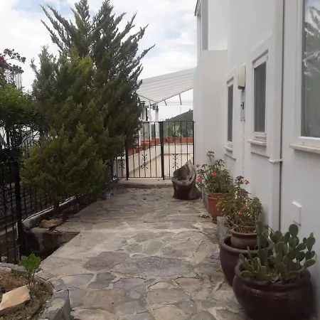 Villa House Near Marina, Yachts, Boats. 4,5 Br *